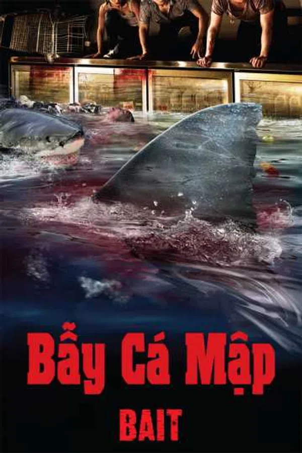 Poster phim Bẫy Cá Mập trên KHOPHIM