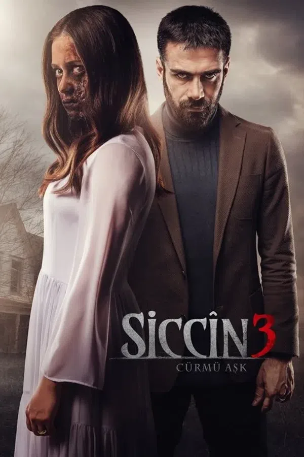 Poster phim Lời Nguyền Sijjin 3 trên KHOPHIM