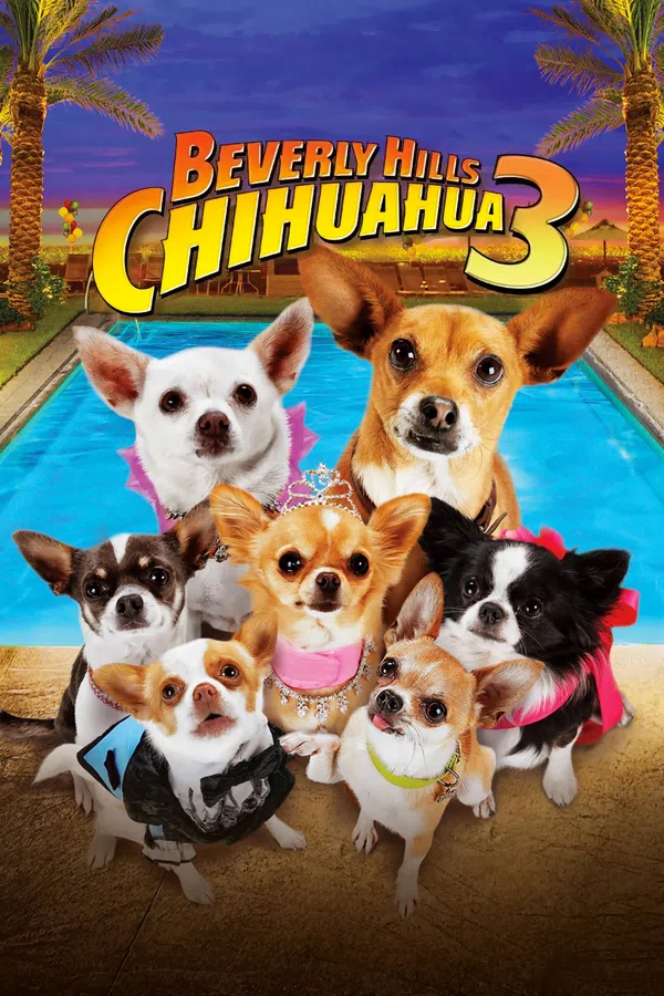 Poster phim Những Chú Chó Chihuahua 3 trên KHOPHIM